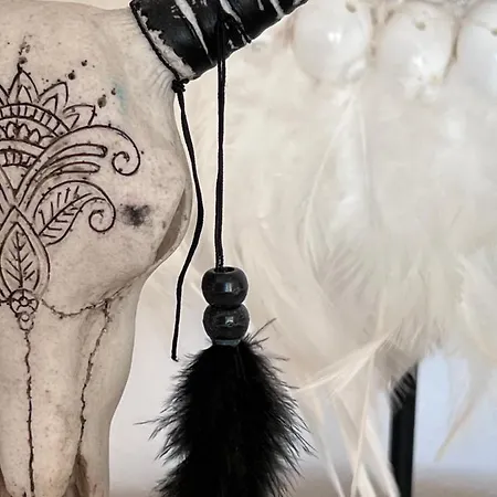 Boho De ------ Adults Only